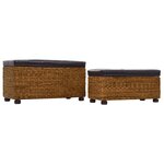 vidaXL Ensemble de banc lot de 2 Jacinthe d'eau Marron