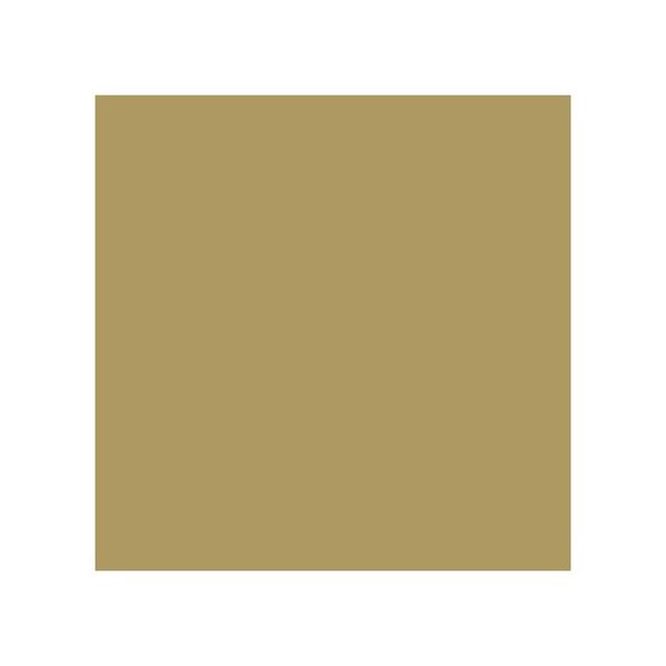 Pack de 25 Cartes Simples 210g 160x160 or Clairefontaine