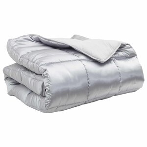 vidaXL Duvet d'hiver Argenté 220 x 200 cm Satin et Microfibre