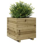 vidaXL Jardinière 50x50x49 5 cm bois de pin imprégné