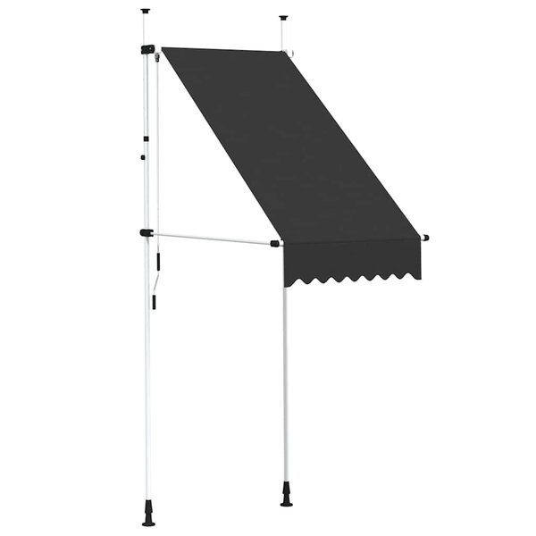 vidaXL Auvent manuel rétractable 100 cm anthracite