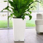 LECHUZA Jardinière CUBICO Cottage 30 ALL-IN-ONE Blanc