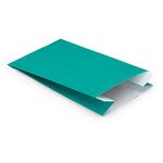Pochette cadeau kraft lumière bleu vert 16 x 25 x 8 cm (lot de 250)