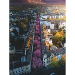 Ravensburger - puzzle 1500 pieces - bonn en fleurs