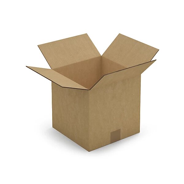 Caisse carton brune double cannelure raja 25x25x25 cm (lot de 15)