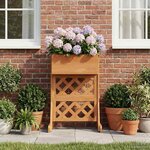 vidaXL Trellis de jardin vertical Orange 48 x 30 x 70 5 cm