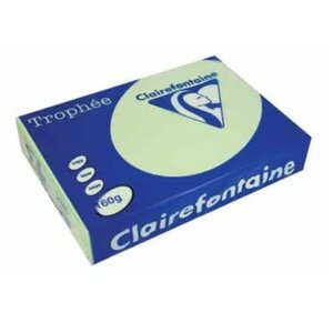 Ramette 250 Feuilles Papier 160g A4 210x297 mm VERT TROPHÉE