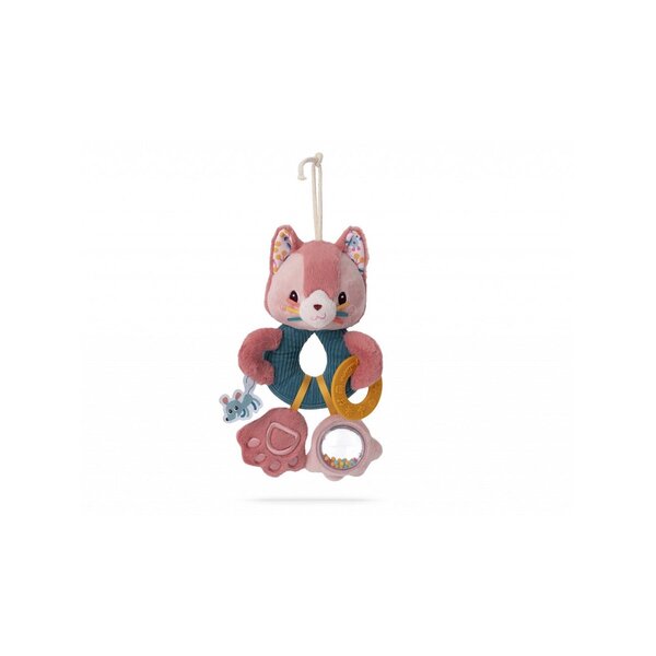 Jeanne le chat Anneaux multiactivites