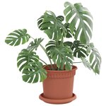 vidaXL Pots de plantes 6 Pièces Rouge brique Ø 15 x 12 cm Plastique