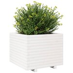 vidaXL Jardinière blanc 60x60x49 5 cm bois de pin massif