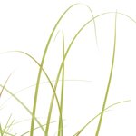 vidaXL Plante artificielle à herbe 95 cm