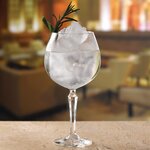 Verre à gin 580 ml speakeasy - lot de 12 - libbey -  - verre x203mm