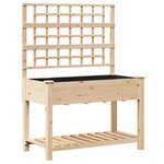 vidaXL Jardinière avec treillis et étagère 115x59x152 cm en bois massif de sapin