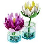 11511 Les nénuphars ® Botanicals