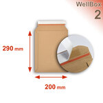 Lot de 50 enveloppes carton wellbox 2 format 215x290 mm