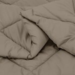 vidaXL Duvet d'hiver Gris clair 220 x 140 cm Microfibre