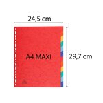 Intercalaires neutres maxi A4+ en carte lustrée, 12 divisions - Assortis