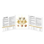 Série Brillant Universel 2025 8 coupures françaises en qualité BU