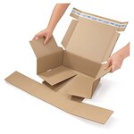 Boîte postale carton brune avec fermeture adhésive  31x22x15 cm (lot de 20)