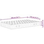 vidaXL Matelas à ressorts ensachés dureté moyenne 120x200 cm
