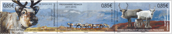 Timbre - TAAF - Programme Renker