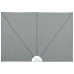 vidaXL Auvent latéral pliable de terrasse Gris 300 x 200 cm