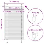 vidaXL Store plissé noir 75x100 cm largeur du tissu 74 4 cm polyester