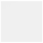 vidaXL Tables de chevet 2 Pièces Blanc 30 5x30x30 cm Bois d'ingénierie