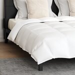 vidaXL Couette avec oreiller 3 Pièces Blanc 200 x 200 cm Bas