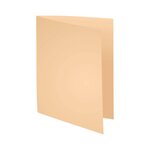 Paquet De 100 Chemises Forever® 170 100  Recyclé - 24x32cm - Couleurs Assorties - X 5 - Exacompta