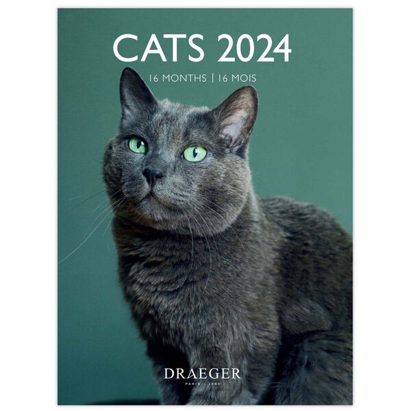 Petit calendrier mural 14x18  cm - 2024 - Chats - Draeger