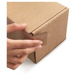 Boîte postale carton brune avec fermeture adhésive  31x22x10 cm (lot de 20)