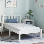 vidaXL Matelas Blanc 160 x 80 cm Mousse