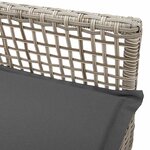 vidaXL Chaise de jardin 2 Pièces Gris clair 55 x 53 x 85 cm polyrotin