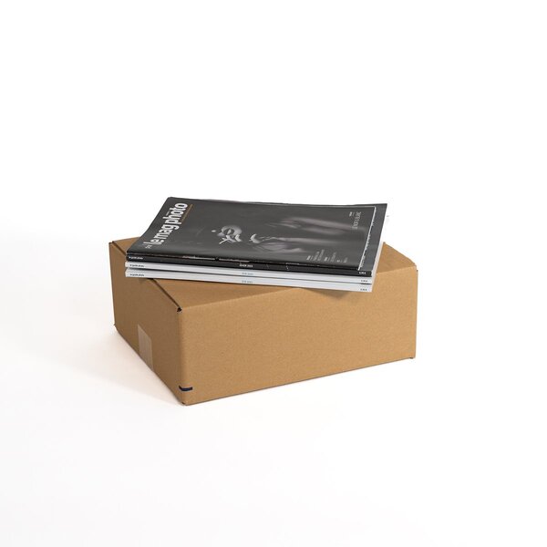 Lot de 20 caisses carton 30x24x11 5cm