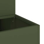 vidaXL Cache-pot de jardin Vert olive 100 x 60 x 45 cm Acier