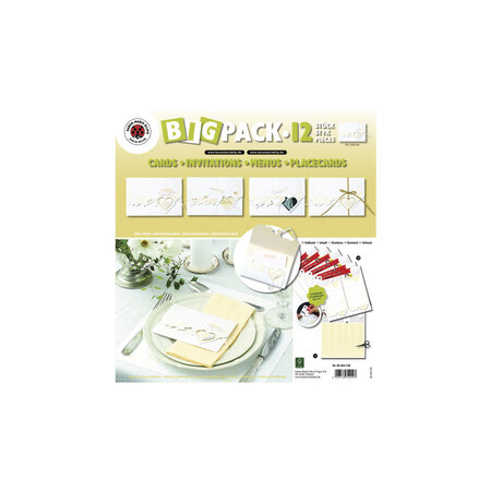 Cartes avec Coeurs Blanc 6 feuilles