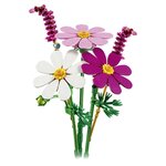 11514 Les cosmos ® Botanicals
