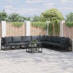 vidaXL Ensemble de canapé de jardin avec coussin 9 Pièces Noir Aluminium