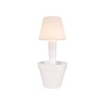 Pure Twilight 50 transparent