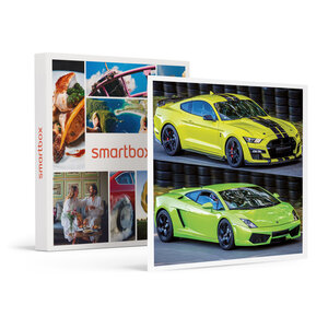 SMARTBOX - Coffret Cadeau Stage de pilotage multivolant : 2 tours en Ford Mustang et 2 tours Lamborghini Gallardo sur le circuit de Lohéac -  Sport & Aventure