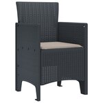 vidaXL Chaises de jardin avec coussins 2 Pièces Anthracite Poly Rattan