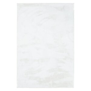 Tapis Salon Blanc 120x180 cm