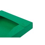 Boite De Classement Cartobox Dos 25mm Carte Lustrée - A4 - Vert - X 25 - Exacompta