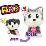 RESCUE RUNTS Le Husky a soigner
