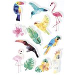 36 stickers 3D - Oiseaux tropicaux 6 cm