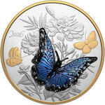 Monnaie BLUE BUTTERFLY Murano 1/2 Kg Kilo Argent 125$ Canada 2026