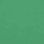 vidaXL Coussins de chaise lot de 2 vert 40x40x7 cm tissu oxford