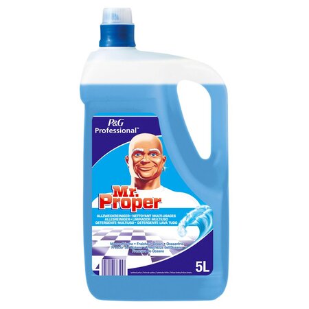 Mr Propre Océan 5L (bouteille 5 litres)