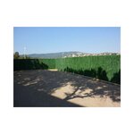 Haie artificielle 110 brins vert pin en rouleau 1 x 3 m